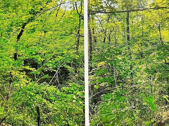 4th image of LOT-26 Eagle Fork Rd
