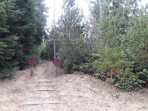 Walking path to the west 