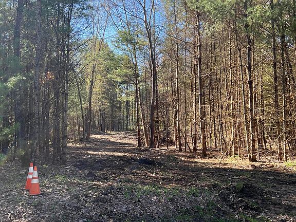 2nd image of 104 Fay Lane