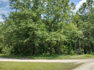 1320 Jeff Dr, Manning, SC 29102