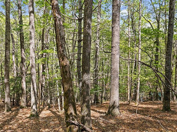 3rd image of Chinkapin Dr