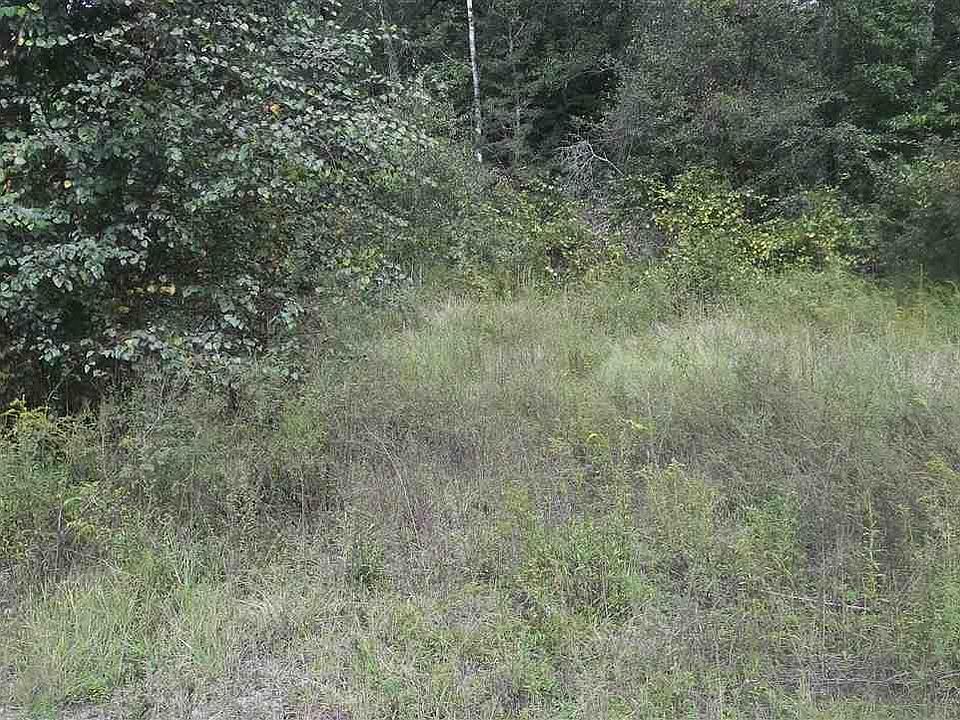 1st image of 231 Waccamaw River Dr