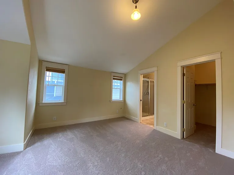 3/F primary bedroom with walk-in closet and shower bathroom