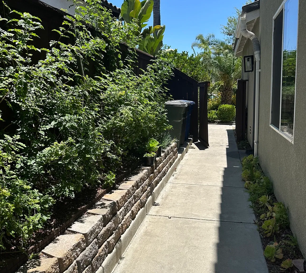 1 bed, 650 sqft, $2,500 — Photo 2