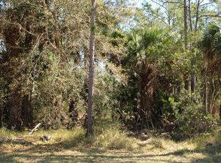 20 Seton Pl, Palm Coast, FL 32164