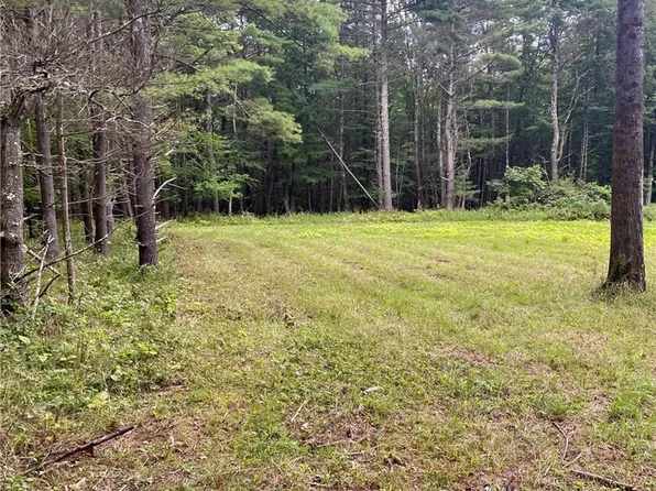 L3 Posson Hill Rd #3, Middleburgh, NY 12122