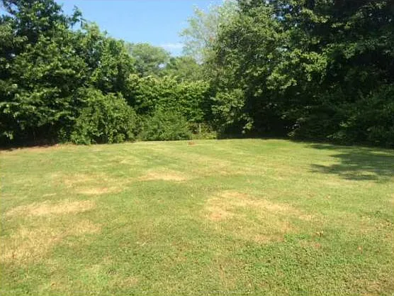 LARGE backyard for entertaining!