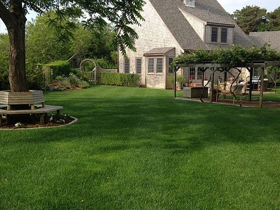 Rear garden in Summer