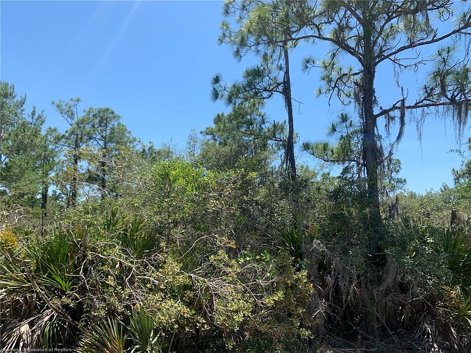 2nd image of 2021 Andros St