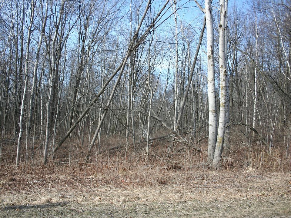 1st image of W Birch Ln
