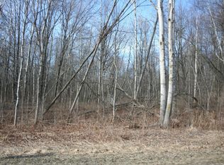 W Birch Ln, Pentwater, MI 49449