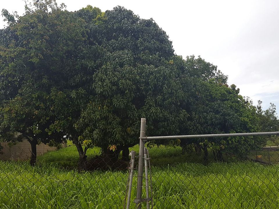 2nd image of PR 494 Km 0.6 Arenales Altos