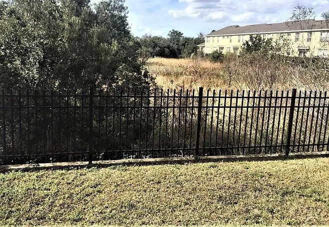 3 bed, 1565 sqft, $2,295 — Photo 3