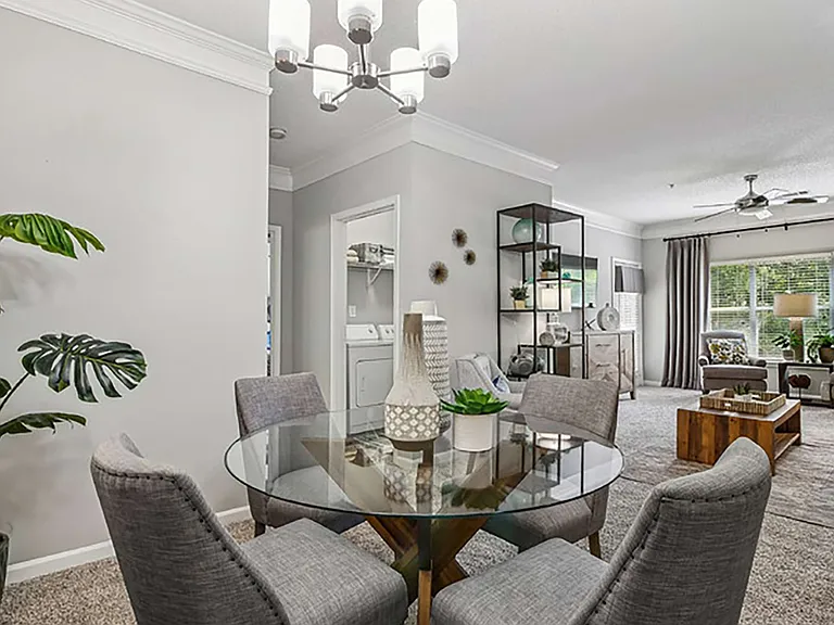 The Pointe at Stockbridge — Photo 33