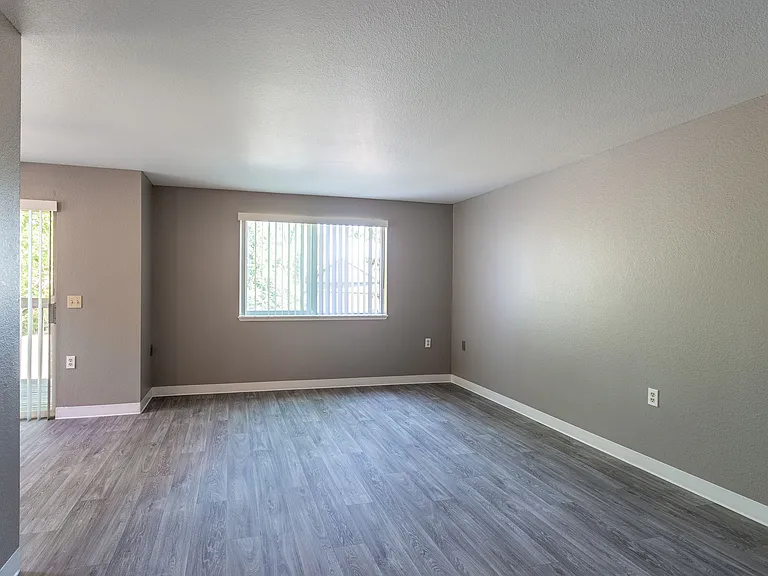 Living & Dining Area