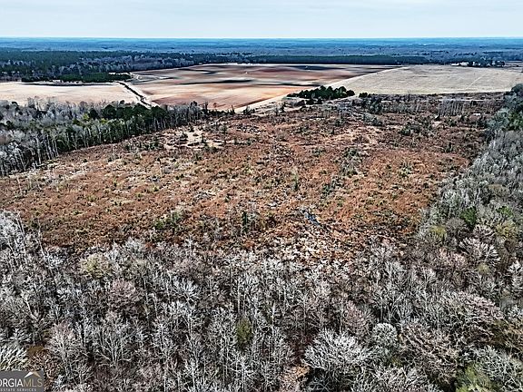4th image of 0 Eagle Pond Old Smithville Rd