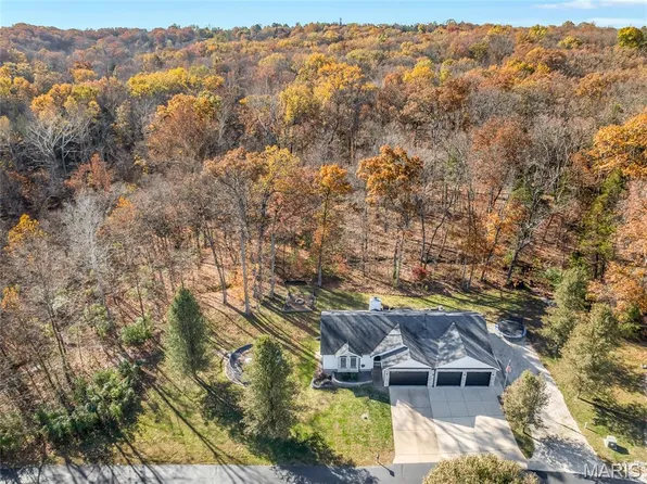 644 Osage Lake Dr, Cedar Hill, MO 63016