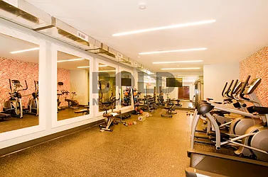 Rented by Bold New York