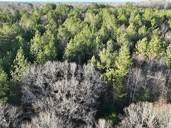 3rd image of 6620 Liberty Hwy