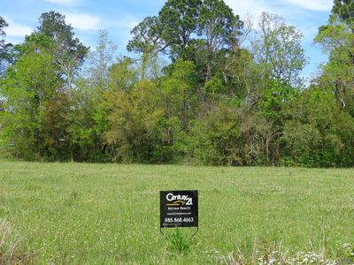 925 S Luke Dr, Franklin, LA, 70538