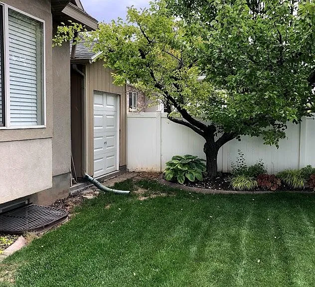 Access to shed wired for electricity. View of apricot tree.
