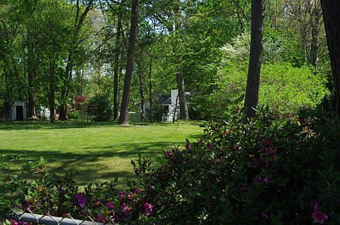Fenced Back Yard