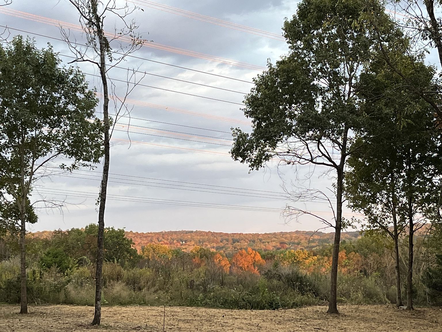 0 Patterson Rd, Rockvale, TN 37153 MLS 2580853 Zillow