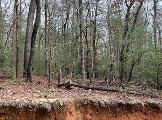 24 Fowler Rd, Ellijay, GA 30536