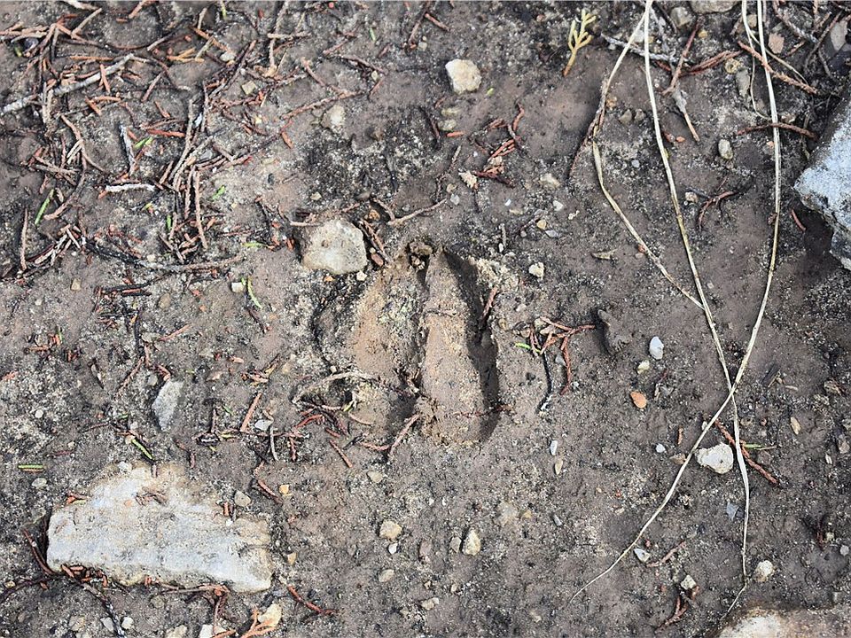 1st image of Cedar Creek Rd