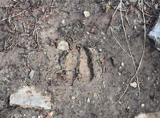 Cedar Creek Rd, Flippin, AR 72634