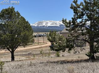 333 Golden Grain Ln, Divide, CO 80814