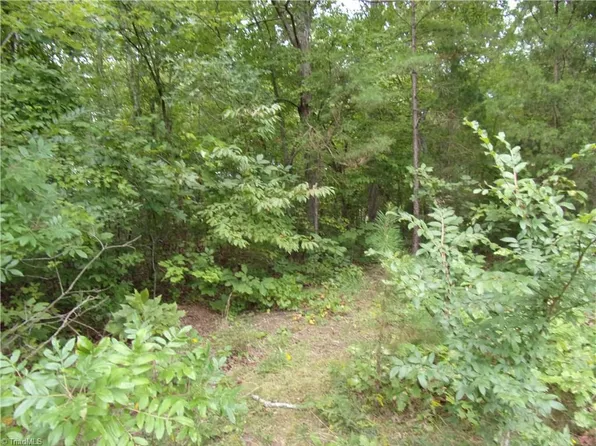679 Mountain Shore Dr, Denton, NC 27239