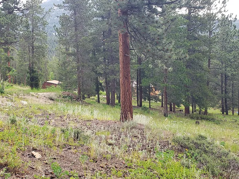 765 Cabin Creek Rd — Photo 24