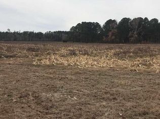 2817 Southern Aire Rd, Timmonsville, SC 29161