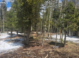 144 Little Bear Peak Rd, Florissant, CO 80816