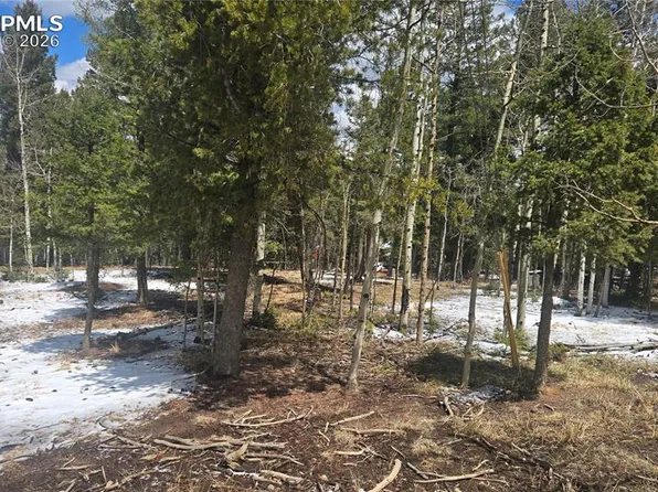 144 Little Bear Peak Rd, Florissant, CO 80816