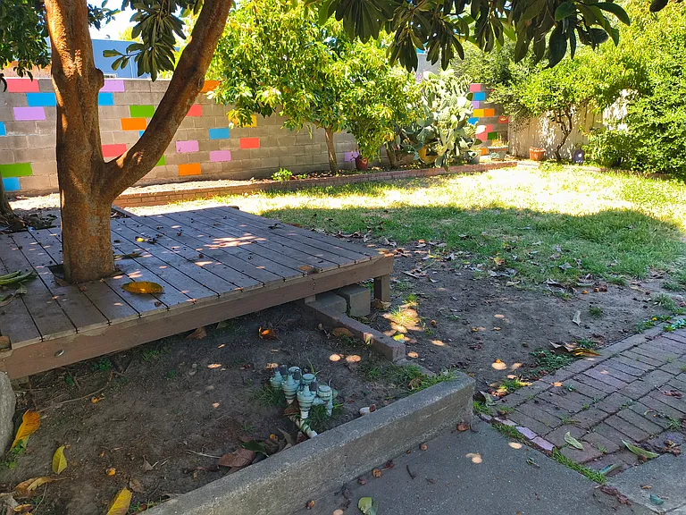 backyard