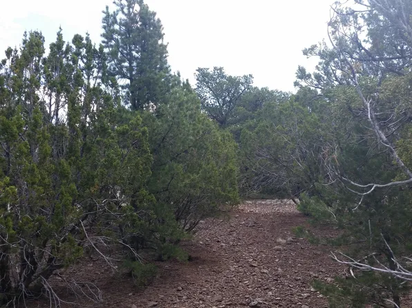 62 N Stanford Drive #005, Vernon, AZ 85940