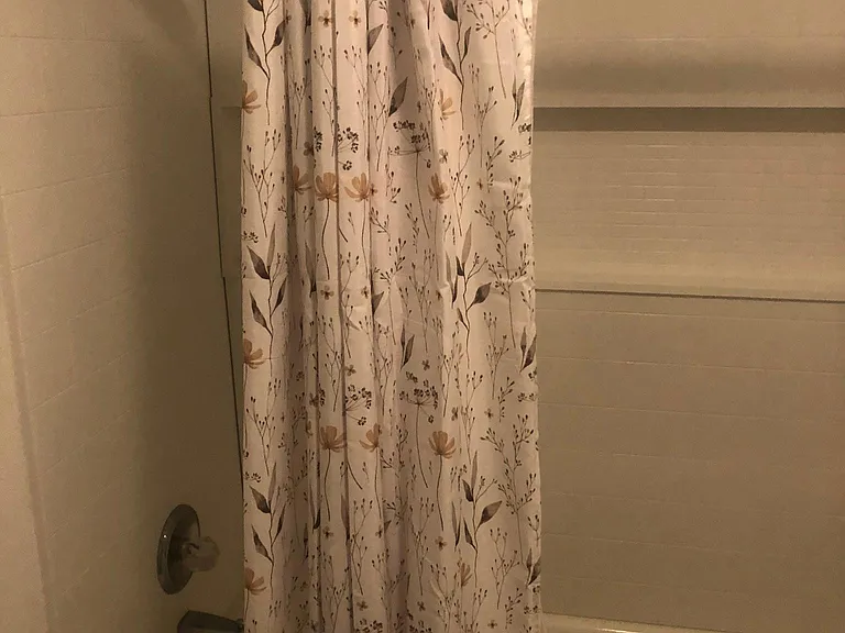 Shower/Tub combo