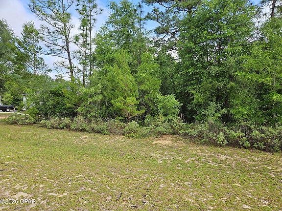 2nd image of LOT 29 Shenandoah Blvd