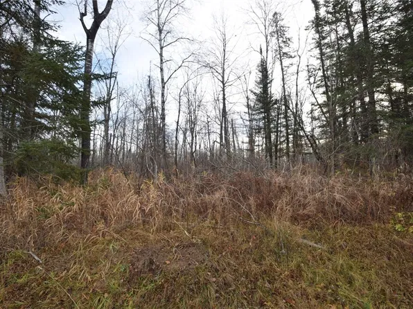 0 N Fire Lane Road, Danbury, WI 54830