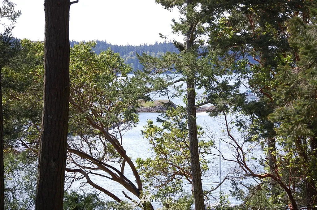 0 XXX Killebrew Lake Road photo 1