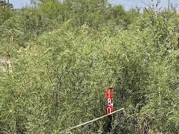 180 Lakewood Rd, Artesia, NM 88210