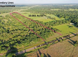 TRACT 13 Fm 1366, Wortham, TX 76693