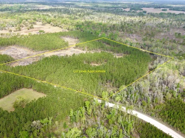 Vacant Sw Captain Brown Rd, Madison, FL 32340