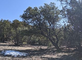 61 Stanfo Rd, Vernon, AZ 85940