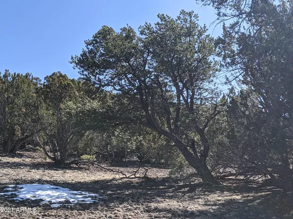 lot 61 Stanford -- #61, Vernon, AZ 85940