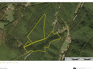 41 Route Mill St, Mill Creek, WV 26280