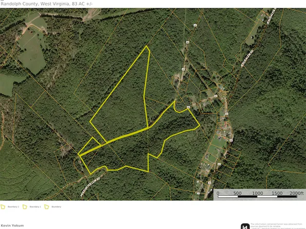 41 Route Mill St, Mill Creek, WV 26280