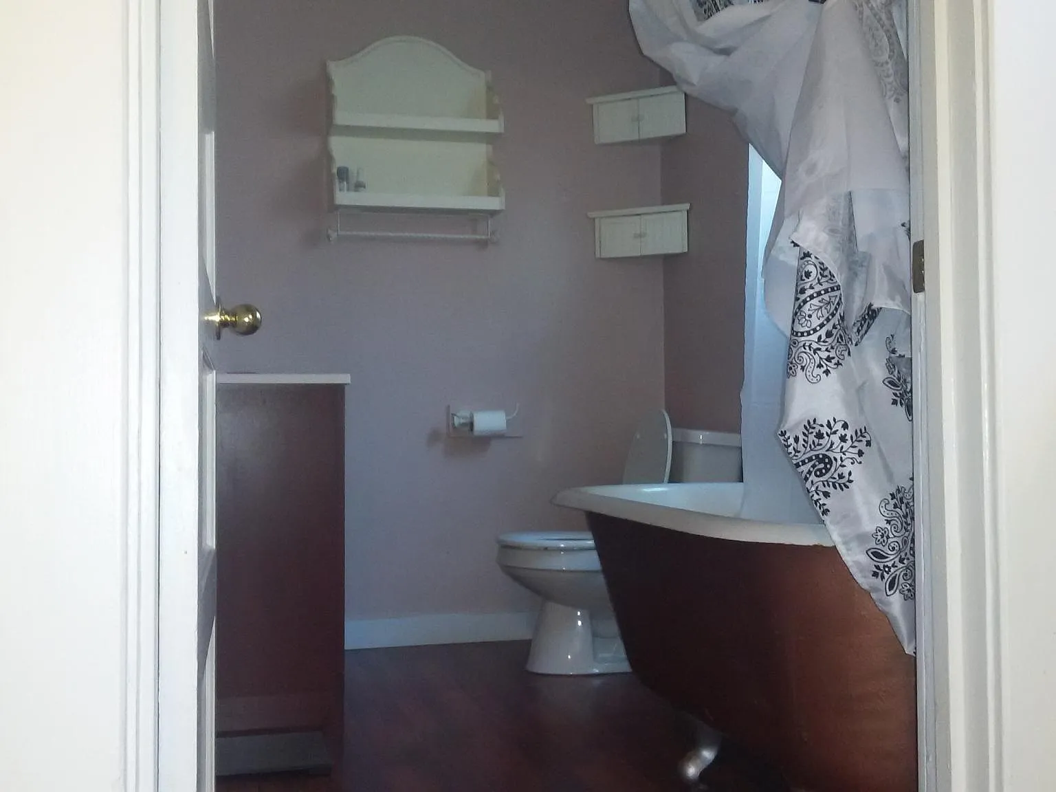 1 bed, $1,250 — Photo 3